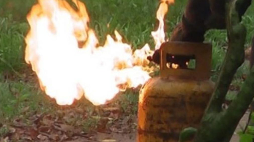 El fuego que lanzaba la garrafa provocó que se prenda fuego el auto (imagen ilustrativa).