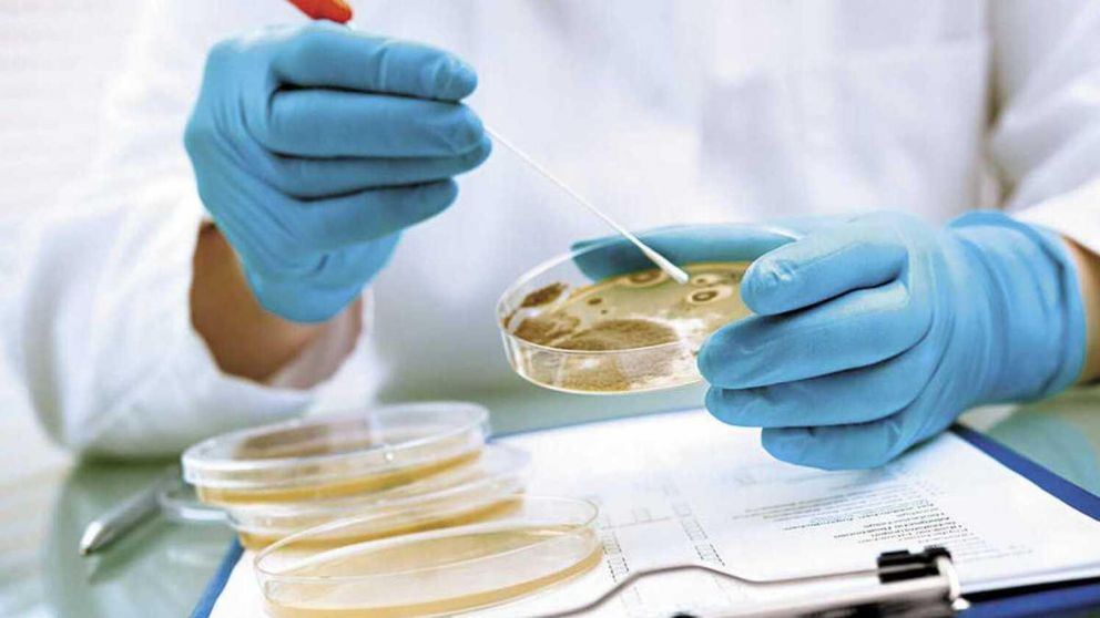 Una nueva "amenaza" avanza en Estados Unidos (Imagen ilustrativa).