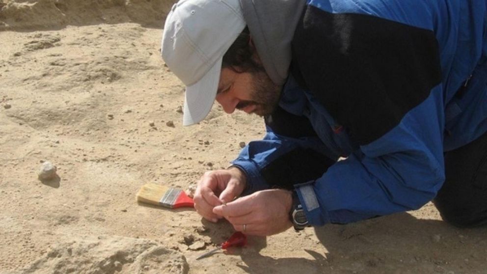 La pieza recuperada ser�a de un vampiro de tama�o mayor de los conocidos actualmente.