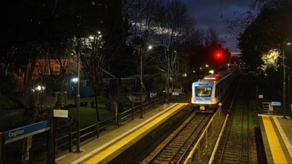 El ataque del ladrón ocurrió a pocos metros de la estación de trenes de Coghlan.
