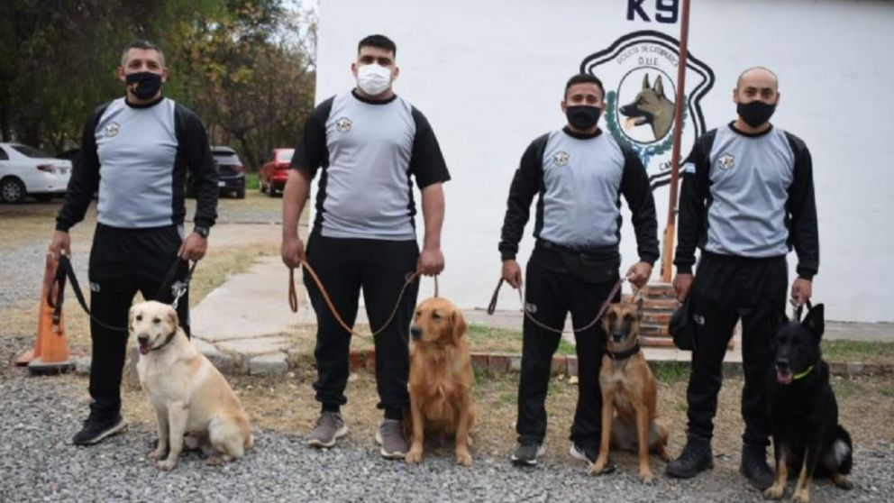 Canes y drones dependientes de la Dirección de Unidades Especiales de Catamarca se suman como apoyo en la búsqueda al gobierno de San Luis (Gentileza: El Esquiú)