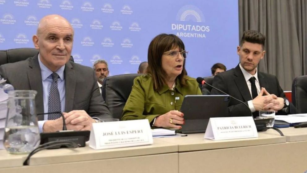 Patricia Bullrich le pidió a José Luis Espert que aclare sobre su vínculo con Fred Machado.