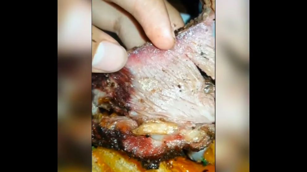 Las larvas de mosca pueden provocar una enfermedad parasitaria llamada Miasis.