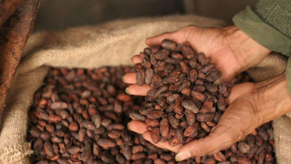 Día Mundial del Cacao: ¿por qué se celebra hoy y cuáles son sus beneficios? (imagen ilustrativa).