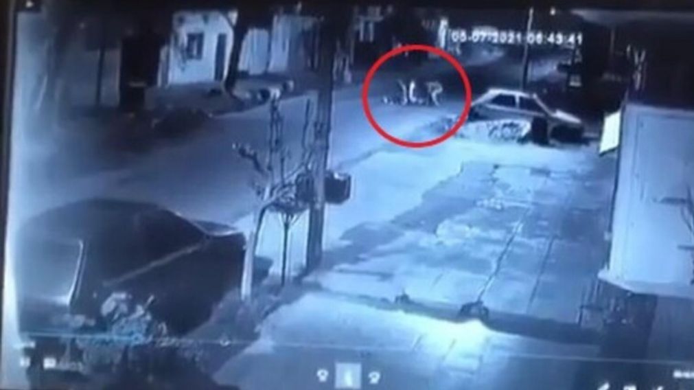 En las imágenes se puede ver la secuencia del violento episodio (Captura de Pantalla).
