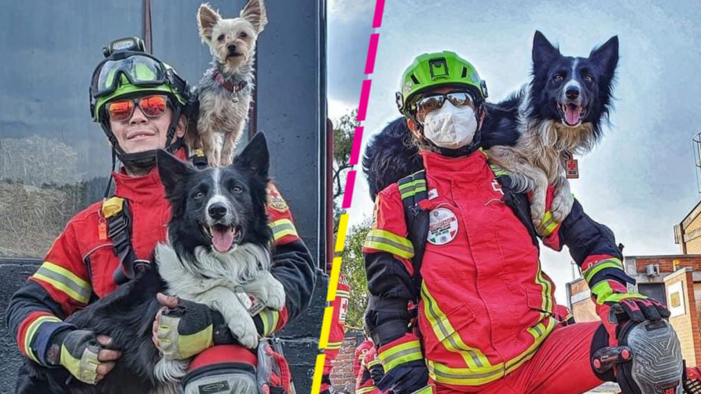 Arrestaron al hombre que envenenó a dos perros rescatistas de la Cruz Roja (Imagen Cruz Roja México).