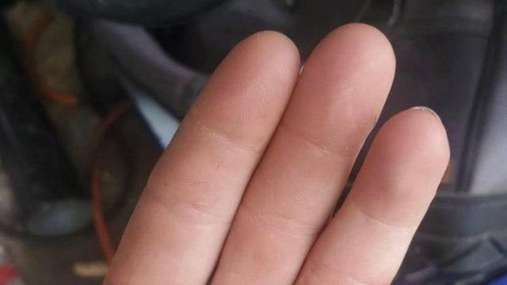El dedo lo encontró dentro del taller y lo mostró en las redes sociales.