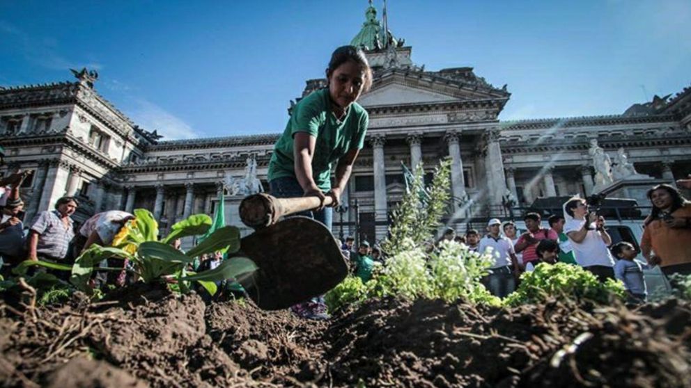 La Unión de Trabajadores y Trabajadoras de la Tierra realizará un nuevo "verdurazo" frente al Congreso (Gentileza UTT/ Facebook).