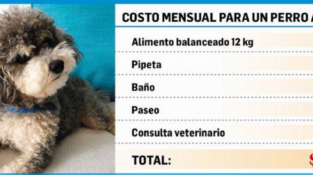 Algunas marcas de comida se encarecieron el 50% en seis meses.