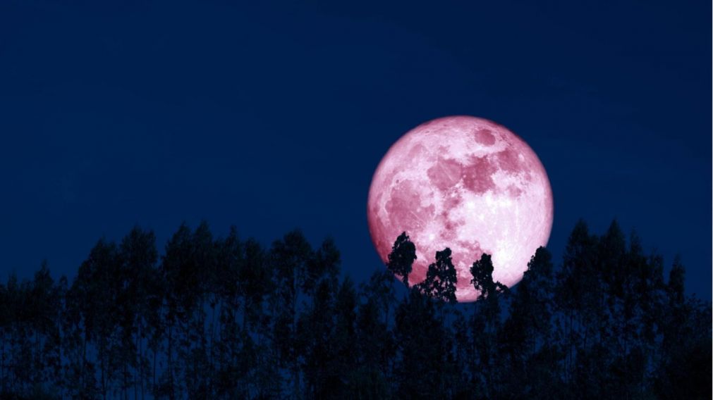 La Superluna de fresa será la última superluna del año.
