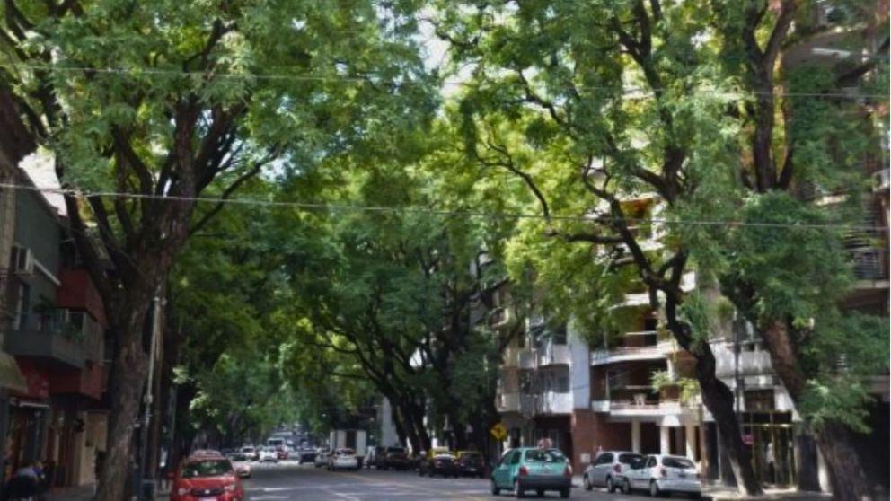 En un barrio muy popular de CABA, los alquileres combinan precios accesibles con departamentos luminosos y expensas bajas (Imagen ilustrativa).