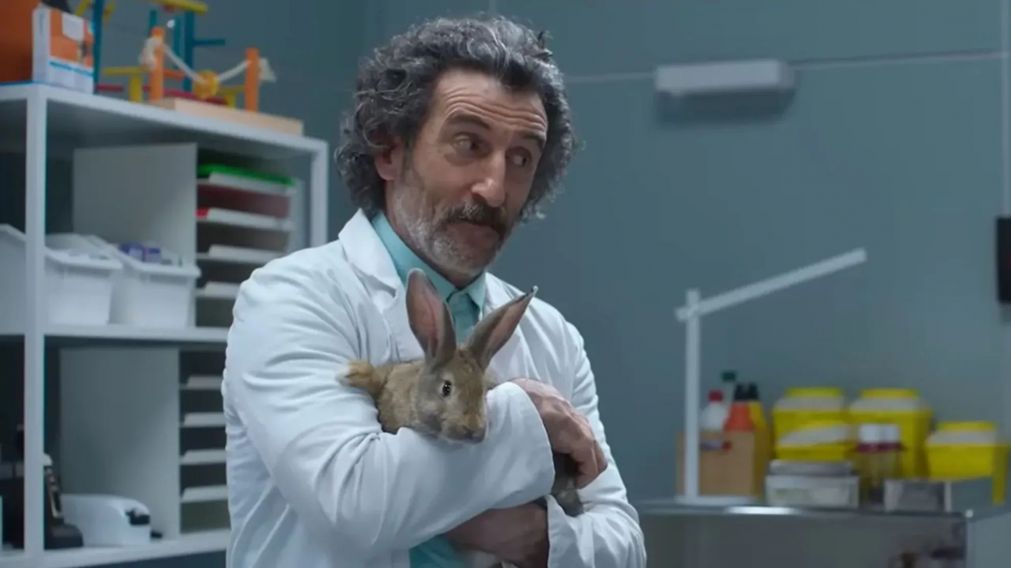 La serie de comedia que se posicionó como la más vista del momento.