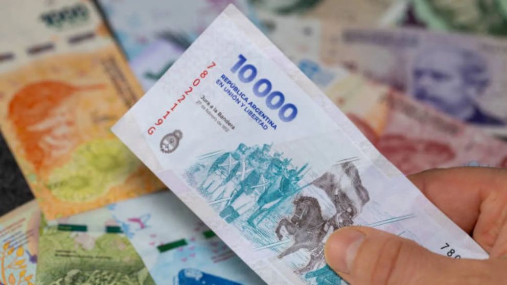 PUAM de la ANSES: �De cu�nto es el triple pago que reciben en diciembre?