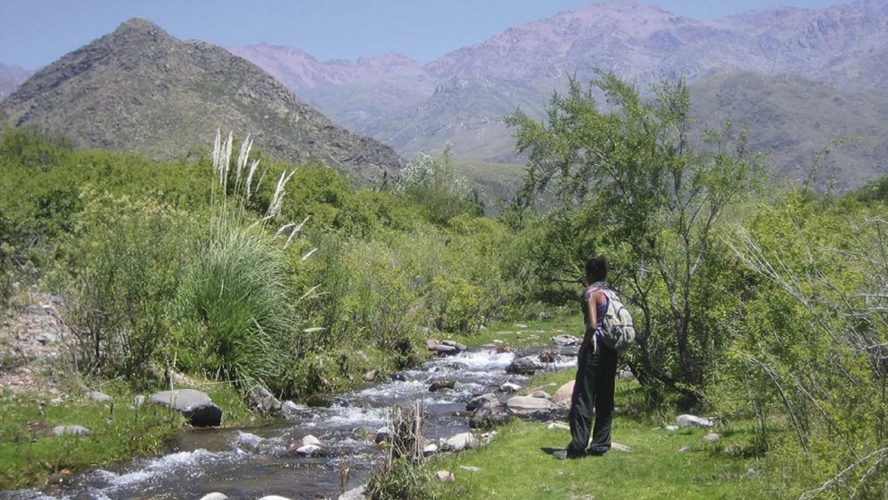 Paisajes de monta�a y vi�edos que invitan a perderse entre la naturaleza y disfrutar de una escapada �nica en Mendoza.