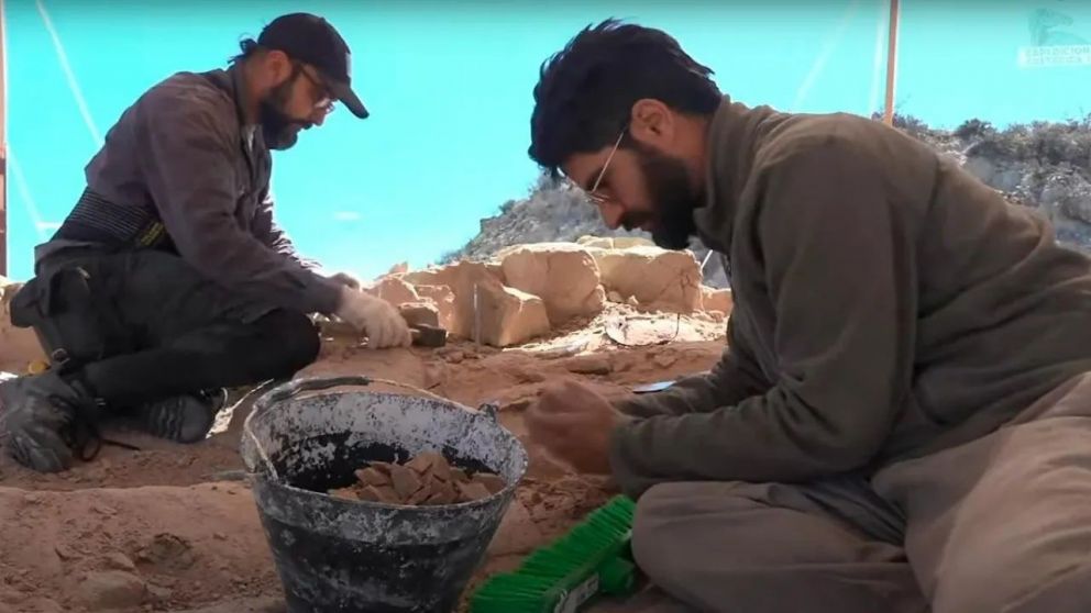 La Expedición Cretácica apunta a recuperar restos fósiles inéditos para la ciencia.