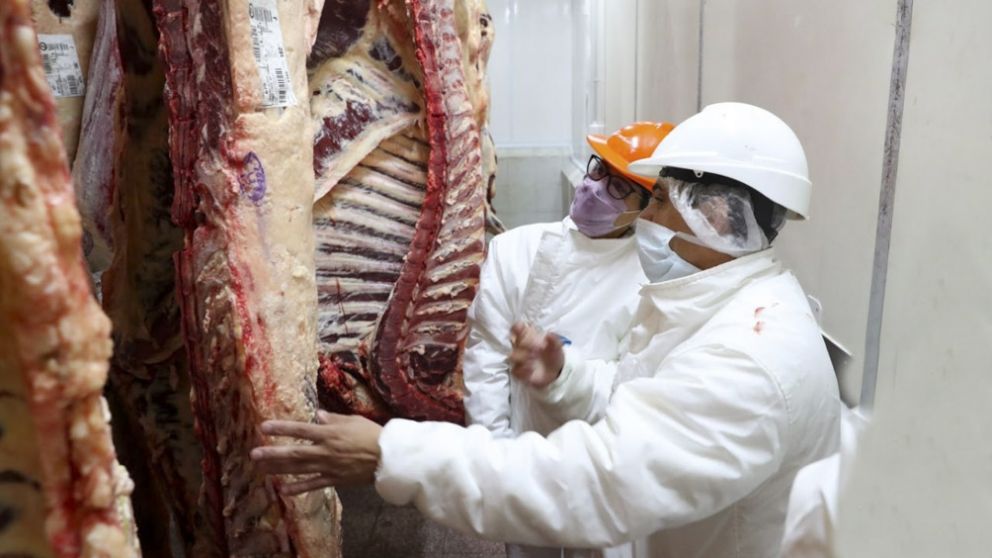 El consumo de carne cayó 13% y alcanza niveles históricamente bajos.