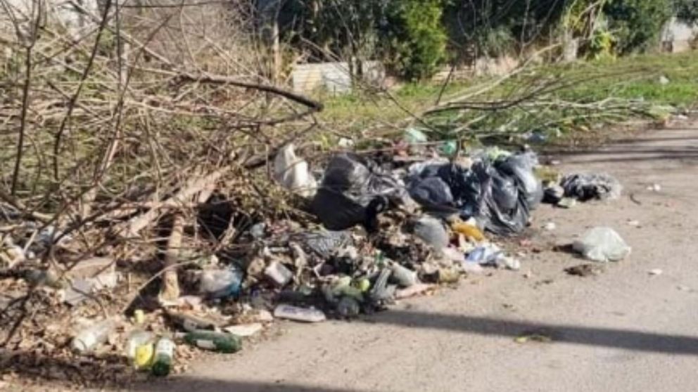 Los vecinos de este barrio platense están hartos de las ratas y reclaman que el contenedor lleno de basura sea retirado del lugar (Diario Hoy de La Plata)