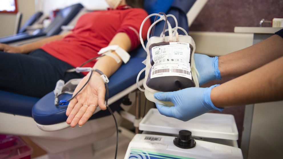 14 de junio: es el Día Mundial del Donante de Sangre (imagen ilustrativa)