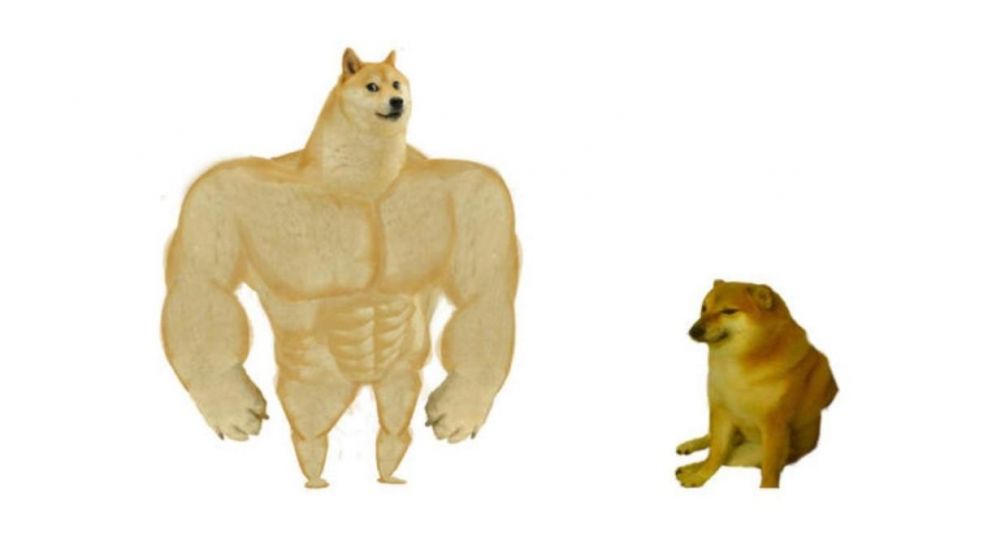 "Doge", a la izquierda, y "Cheems", a la derecha, los perritos que protagonizaron un cómico meme en Internet.