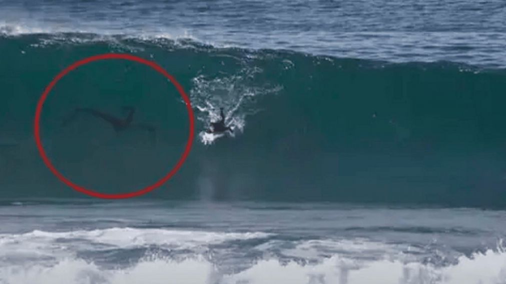 Tenebrosa criatura persiguió a un surfista en el mar (Captura de video)