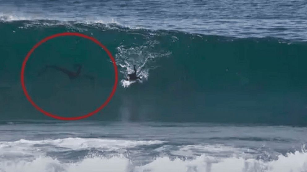 Tenebrosa criatura persiguió a un surfista en el mar (Captura de video)
