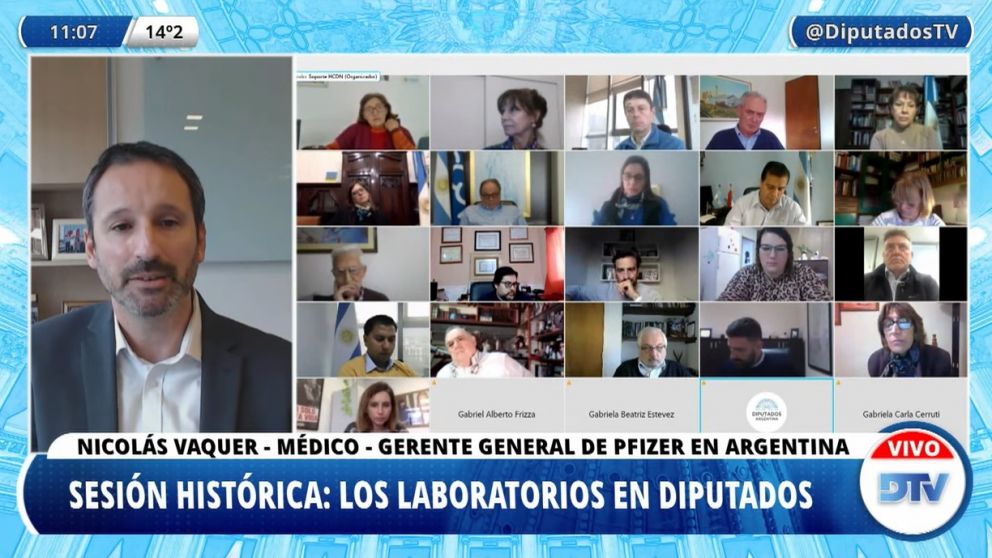 Vaquer es el primero de los directivos de los laboratorios que expone en el Congreso.