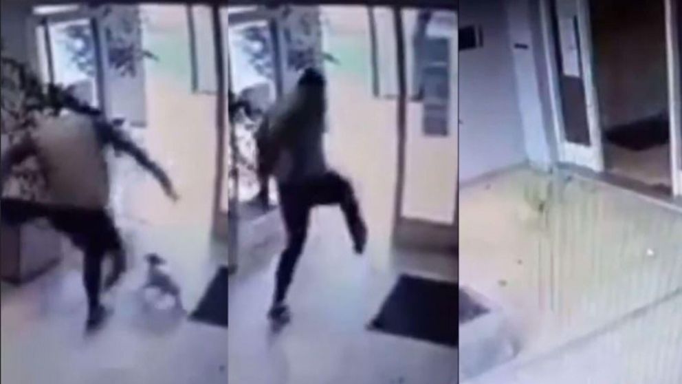 El maltratador fue identificado de apellido Gonz�lez y el caniche ya fue puesto a salvo.