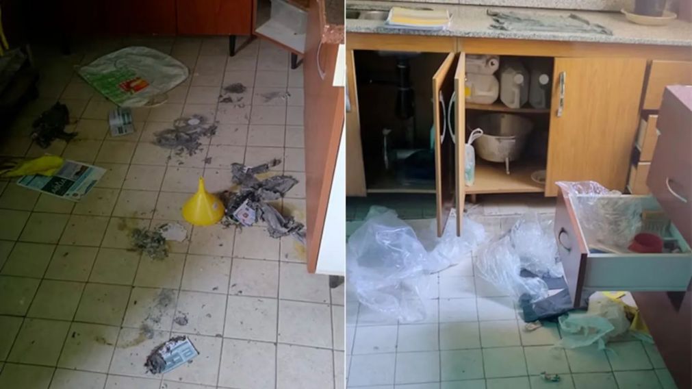 Robaron e incendiaron un merendero en Córdoba (Imagen El Doce).