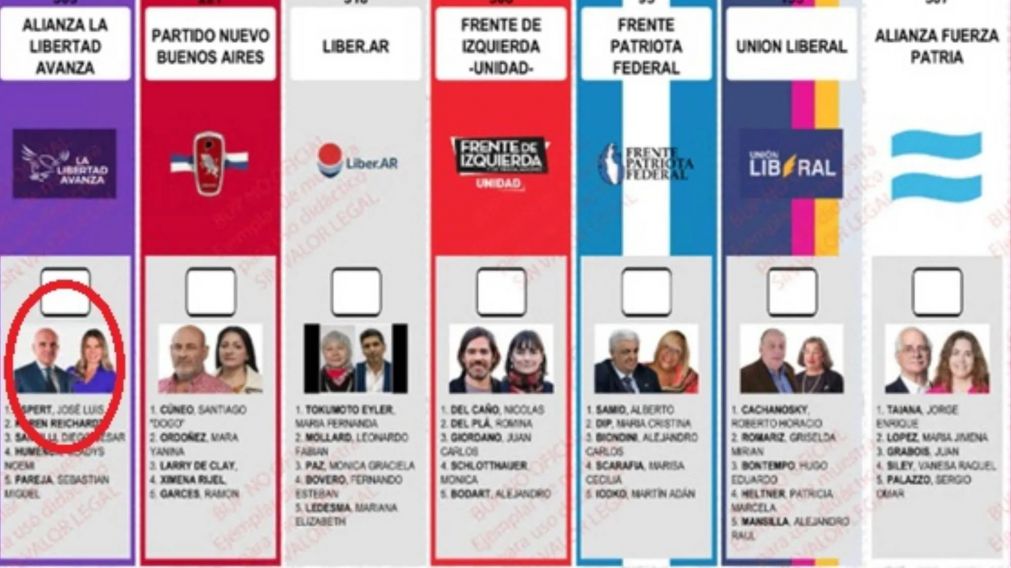 Elecciones 2025: la Cámara rechazó el pedido de La Libertad Avanza para reimprimir las boletas con la cara de José Luis Espert