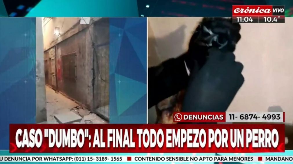 Ra�l Mart�n "Dumbo" Maylli�Rivera tiene un punto d�bil que son los perros. (Captura video)