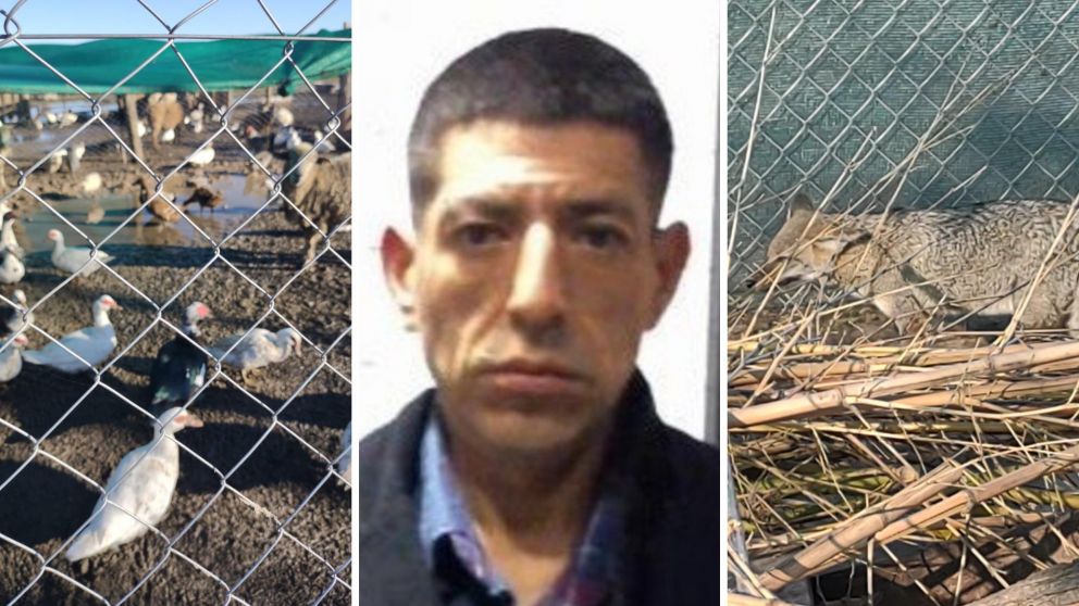 Raúl Martín Maylli Rivera, conocido como "Dumbo", tenía varias especies de animales en su quinta de Merlo.