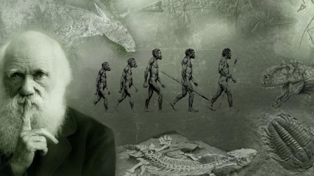 Conmoción mundial: ¿Se cae la teoría de la evolución de Darwin?