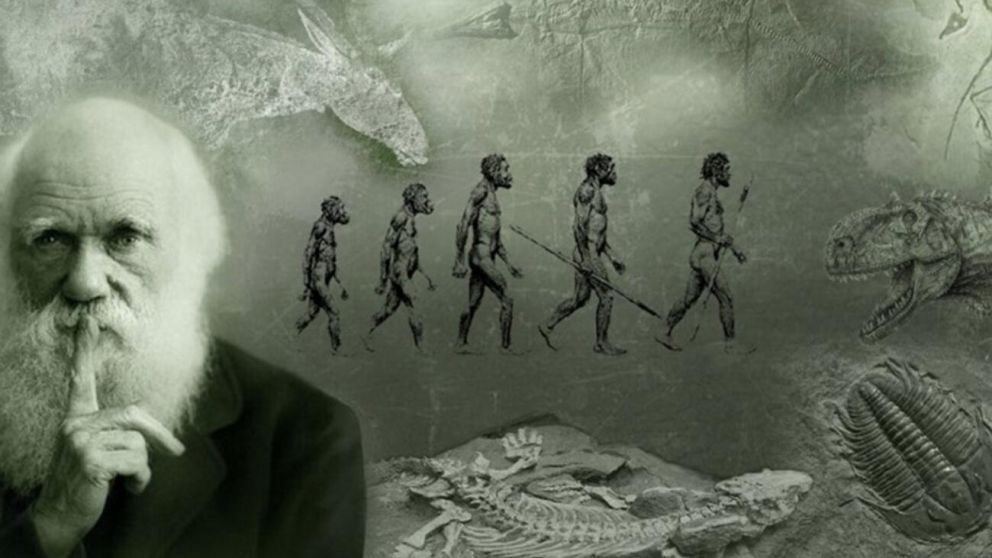 Conmoción mundial: ¿Se cae la teoría de la evolución de Darwin?
