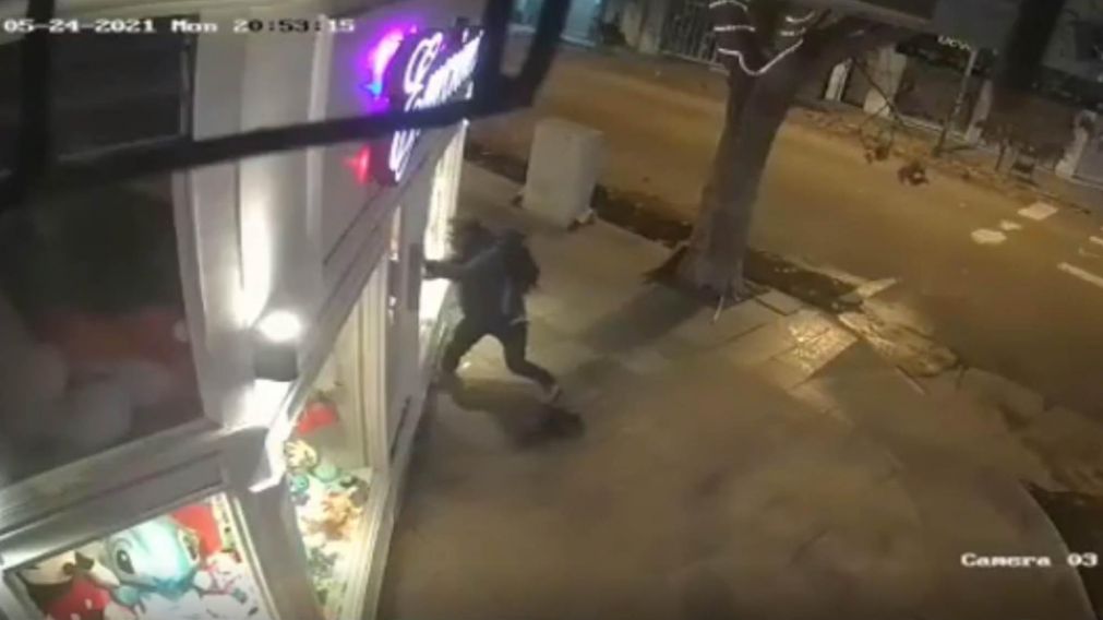 Así rompió una vidriera para robarse ositos de peluche.