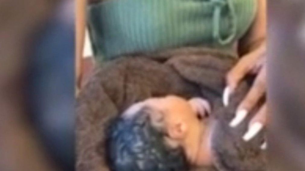 El beb� reci�n nacido ten�a todav�a el cord�n umbilical.