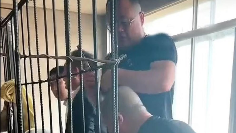 Las autoridades locales se enteraron de esta situación 17 años después.