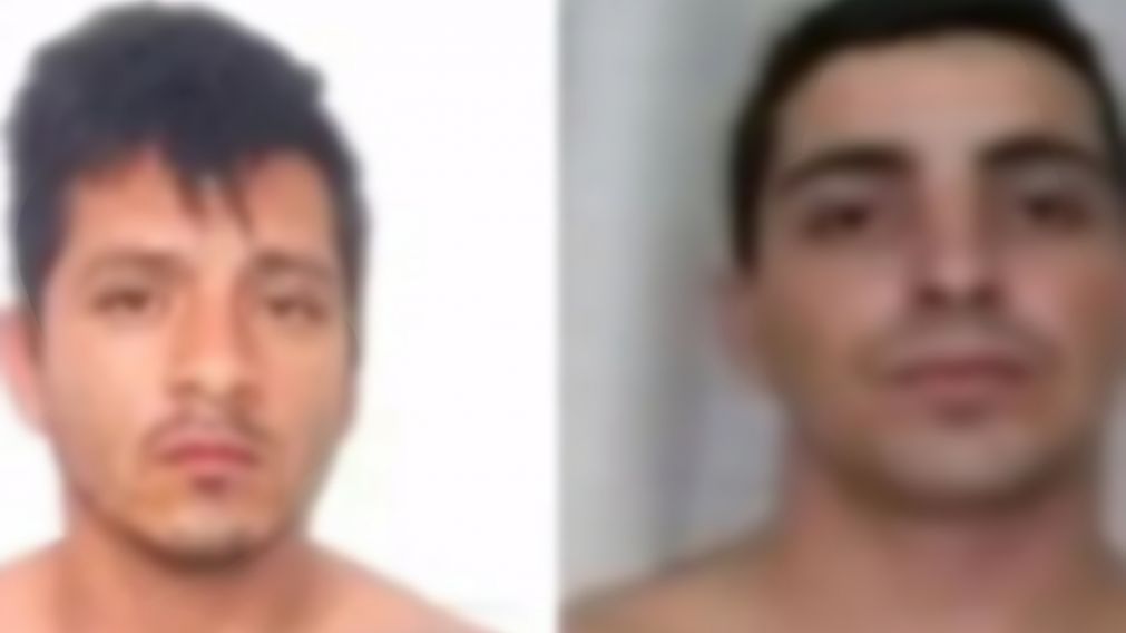 Así se fugaron los dos presos de una cárcel en Santa Fe en cajas de cartón.