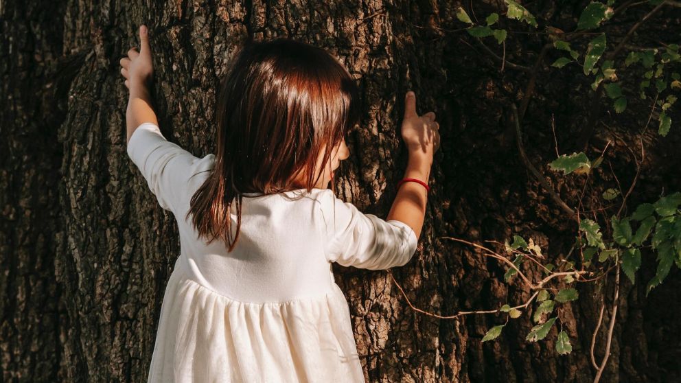 La ilusión óptica de la "niña enterrada" que vuelve locos a todos en las redes.