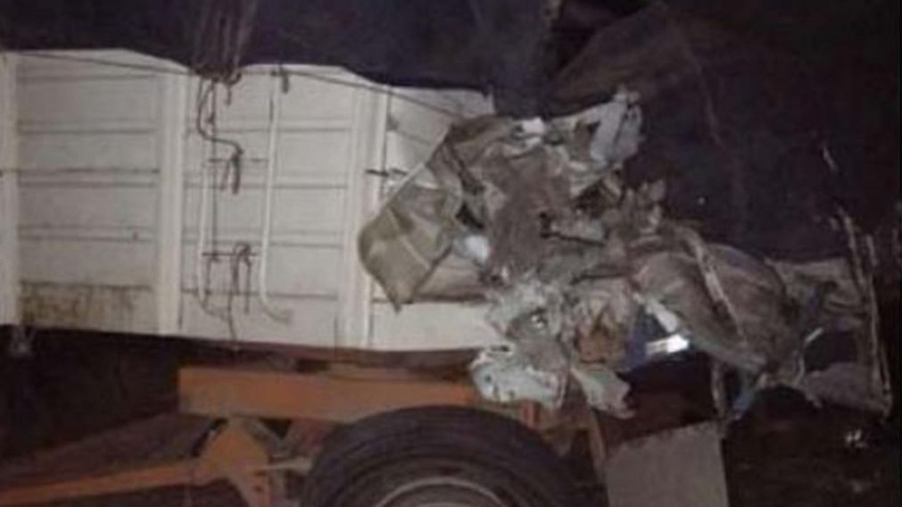 Palazo en la ruta 144: mueren camionero y 12 caballos que trasladaba tras un choque frontal.