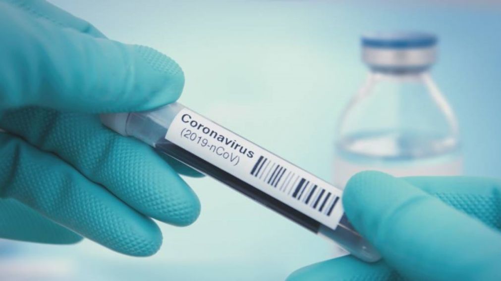 La OMS publicó un informe en el que descarta que el virus se haya originado por un accidente dentro de un laboratorio.