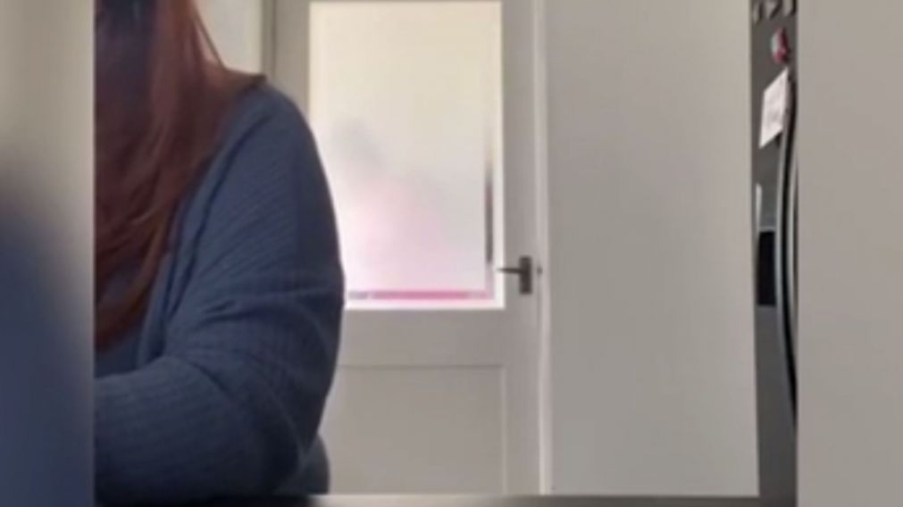 Victoria se encontraba en una videollamada de trabajo muy importante. (Captura de pantalla).