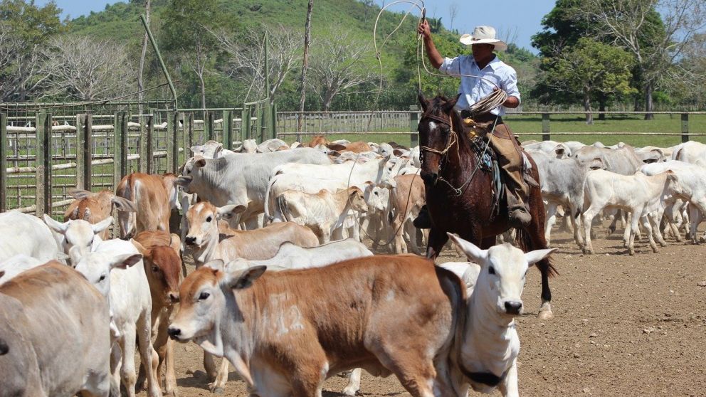Estuvo en contacto estrecho con un caso positivo y se lamentó en su grupo de WhatsApp de aislarse con su mujer. (Audios cortesía de Radio La Brújula)