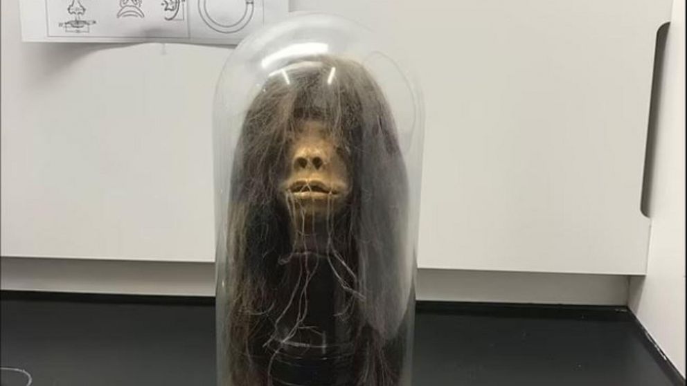 La cabeza tsantsa pertenece a una tribu ecuatoriana.