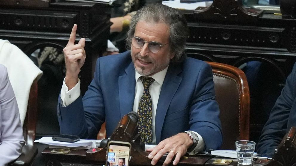 "Bertie" Benegas Lynch asumir� en reemplazo de Espert.