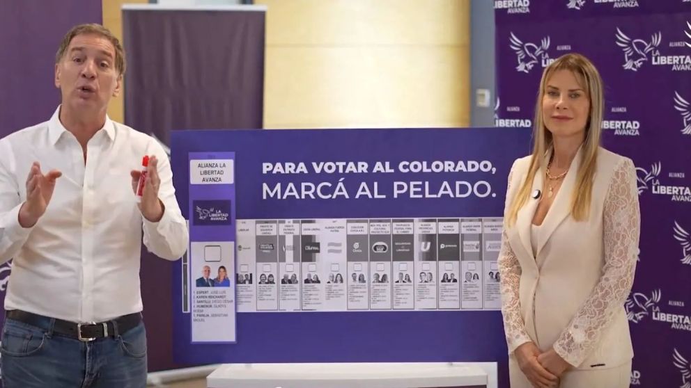 Diego Santilli y Karen Reichardt lanzaron un curioso spot tras la baja de Jos� Luis Espert.