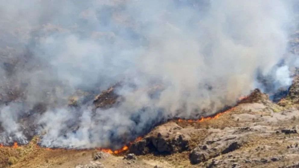 Cientos de bomberos trabajan en las sierras de Córdoba (x).