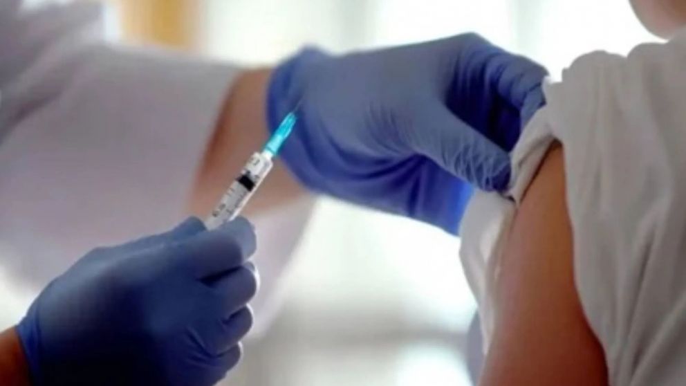 Fiebre amarilla: Argentina refuerza la vigilancia y prevención frente al brote de la enfermedad en la región