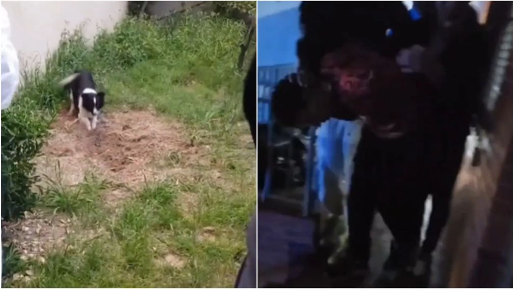 El lugar del macabro hallazgo y el detenido.