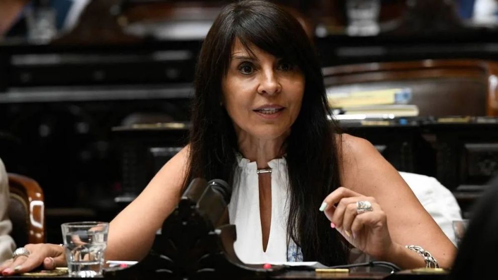 La oposici�n busca impedir la asunci�n de Lorena Villaverde como senadora.