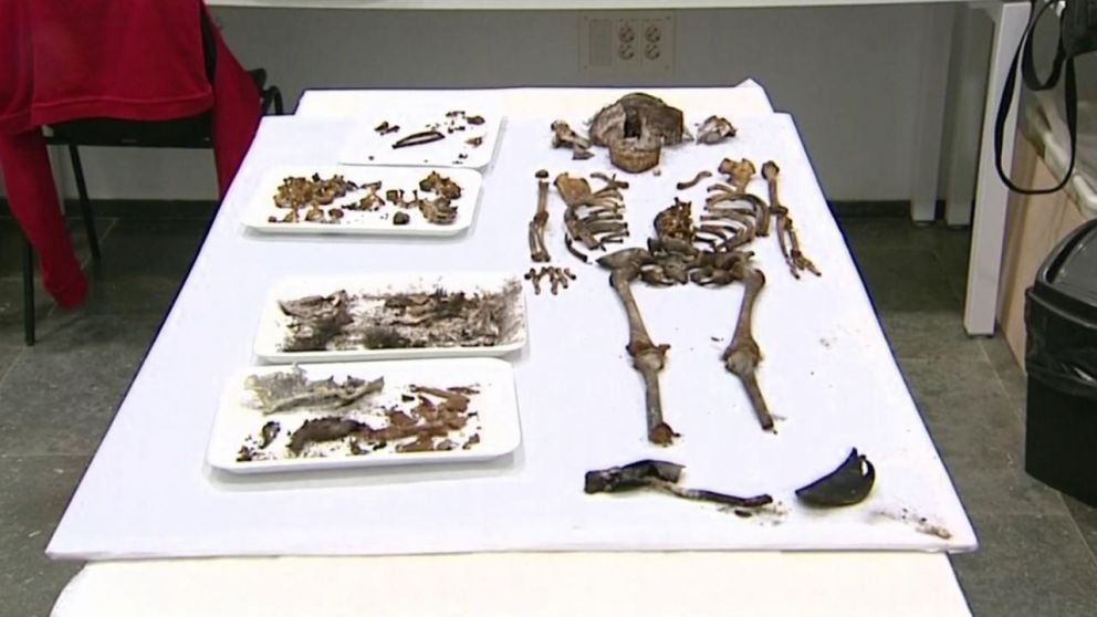 Los restos de la niña encontrada en Sevilla.